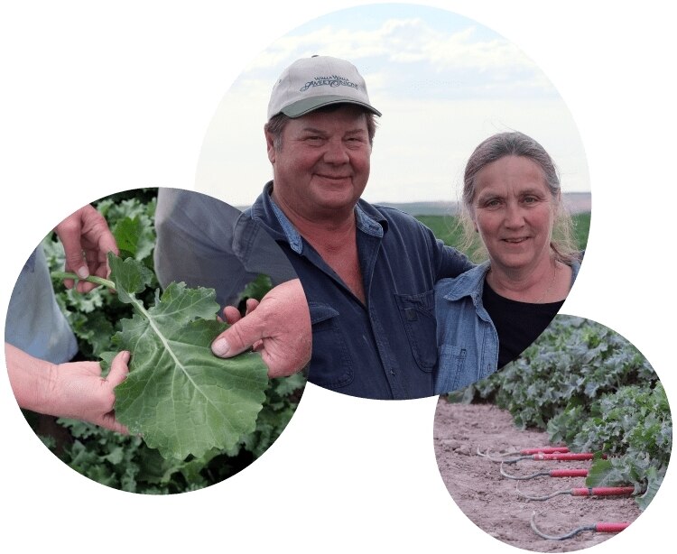 Real Compleat® Patient: Mcclure Family